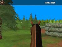 Horse Jumping Challenge