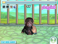 Funky Monkey