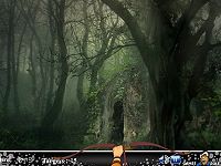 Hidden Dragon