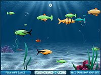 Franky the Fish