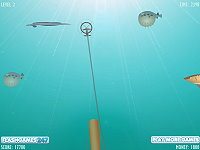 Shooting Fish