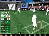 Cricket Challenge