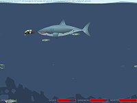 Mad Shark