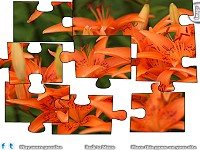 Jigsaw: Orange Lilies