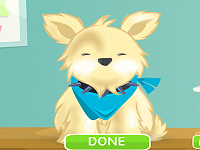 Cutie Pet Care