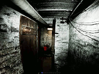 Cellar Door