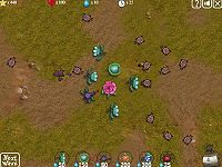War In My Garden