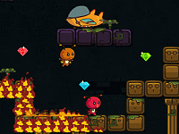 Fire Ladybug