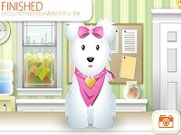 Pet Grooming Studio