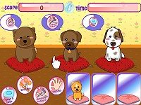 Puppies Salon