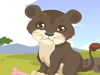 Lion Care