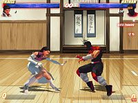 The Perfect Fighter
