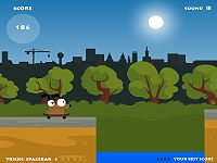 Madpet Skateboarder