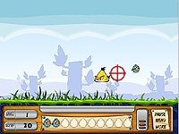 Birds Hunter