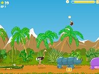 Afra Fly