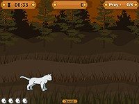 Warriors - Hunting Game