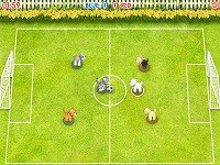 Pet Soccer