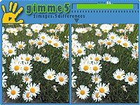 Gimme 5