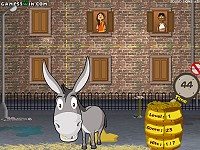 Dung-Fu Donkey
