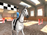 Horse Jumping 3D