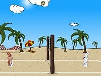 Beach Volleyball