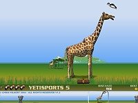 Animal
