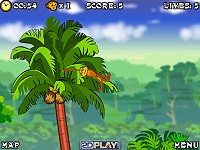 Spider Monkey