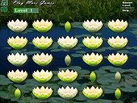Flower Blossom