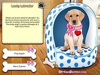 My Dog Quiz