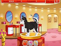 Petz Fashion