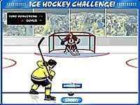 Ice Hockey Challenge