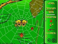 Spiders