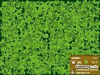 Four Leaf Clover