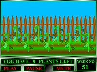 The Ganja Farm