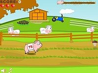 Pig Race