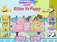 Kitten Vs Puppy